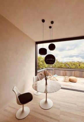 Dakappartement met XL terras